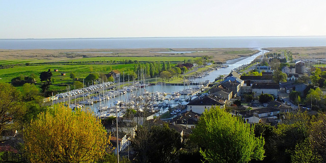 Port de Mortagne  (17 Estuaire de la Gironde)