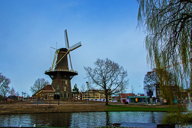 Molenmuseum de Valk - Leiden (© Buelipix)