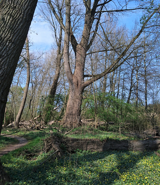 Naturschutzgebiet Heuckenlock