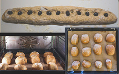 Wholemeal rolls