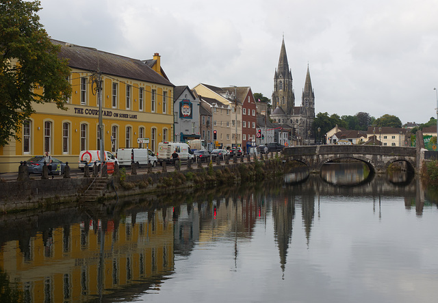 Saint Fin Barre's Cathedral in Cork