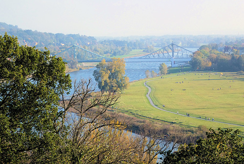 Die Elbe bei Dresden