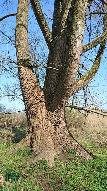 Naturschutzgebiet Heuckenlock