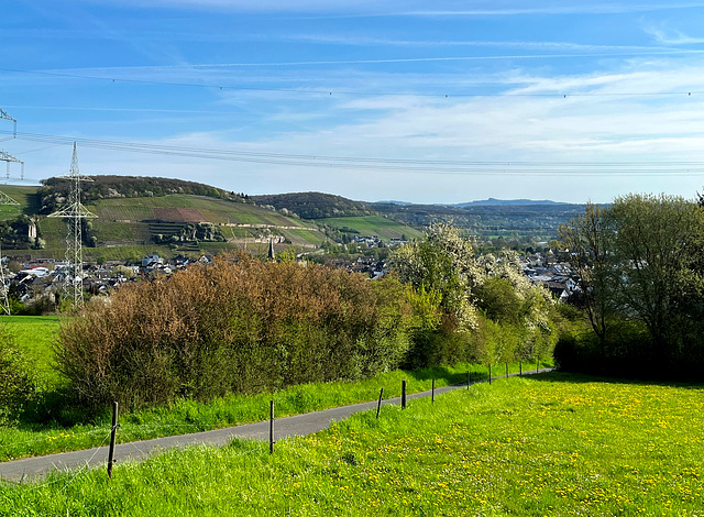 Frühling bei Heimersheim