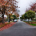 Rosa-Luxemburg-Straße (Dortmund-Innenstadt-Ost) / 9.11.2024