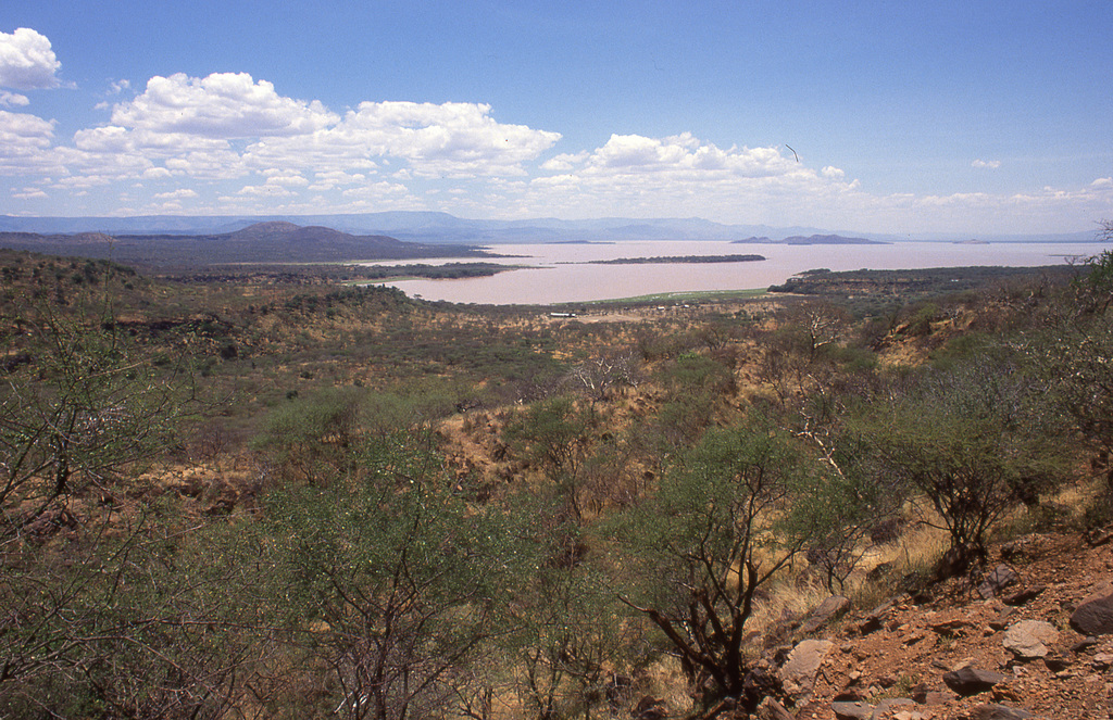 Lake Nakuru