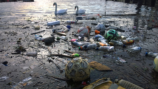 The plastic problem