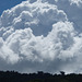 Cielo de nubes blancas de CRica