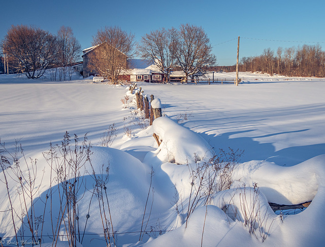 Un hiver à la ferme