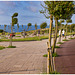 Paseo de Punta Galea en Getxo.