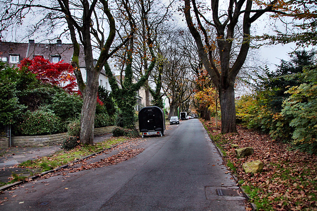 Kohlgartenstraße (Dortmund-Innenstadt-Ost) / 9.11.2024