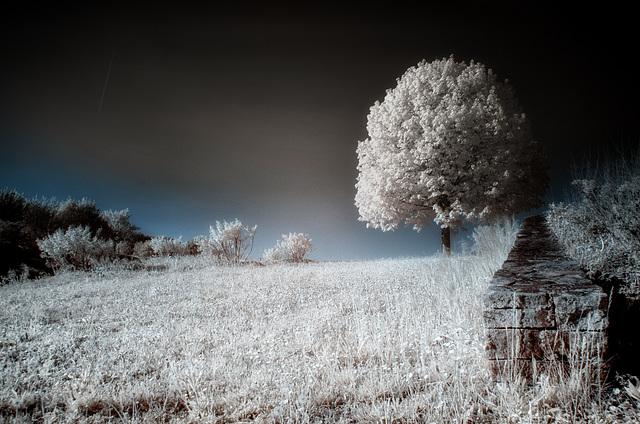 Boule de neige