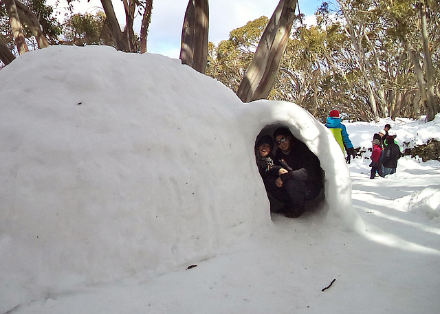 Mt Baw Baw day trip