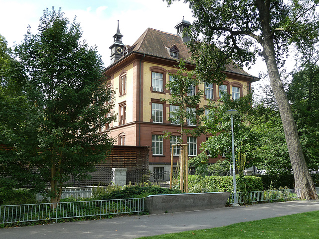 Das Theodor Baerwart Schulhaus am unteren Rheinweg in Basel