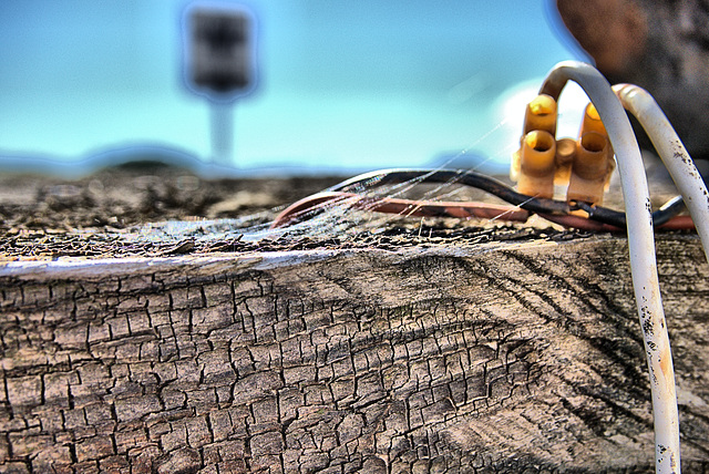 Having fun with focus!!