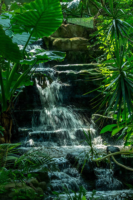 Indoor water feature (1)