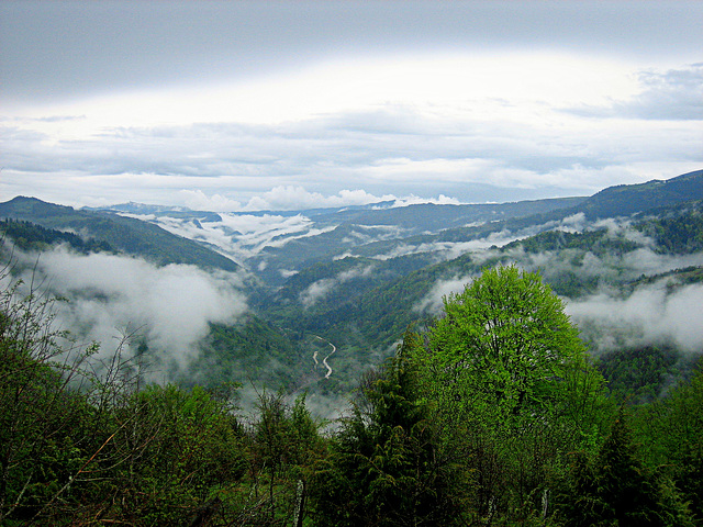 #8 Peter Bojic-River valley after rain-17th-1 point