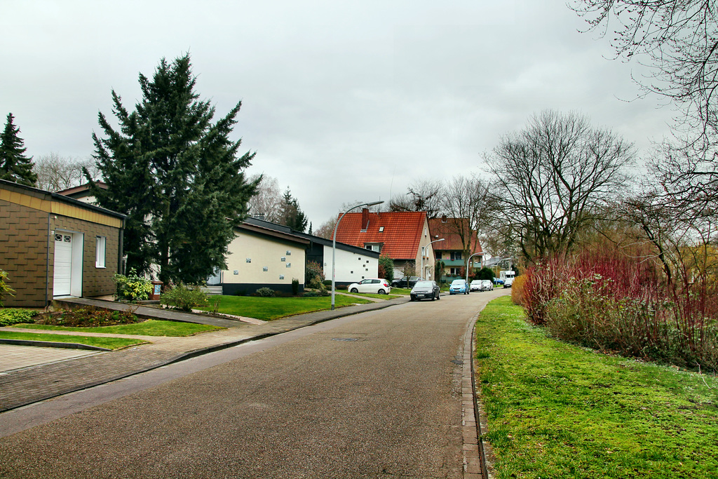 Erlenweg (Herne) / 22.02.2020
