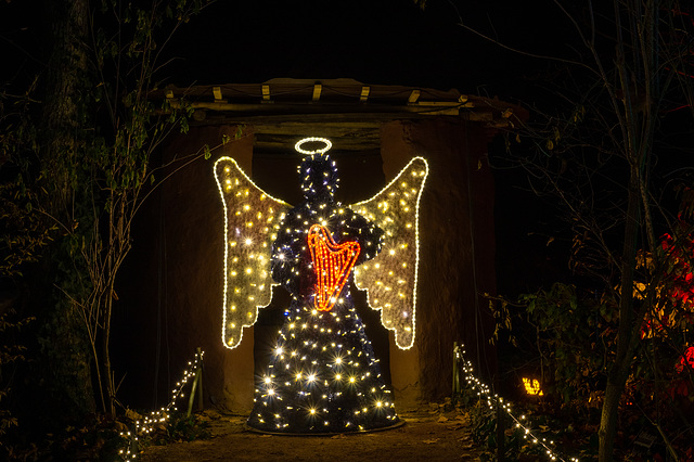 Kölner Zoo - Christmas Garden