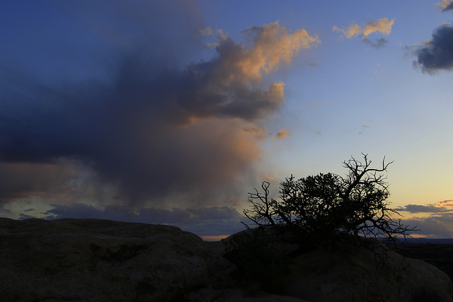 Canyonlands Sunset