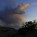 Canyonlands Sunset