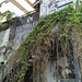 Escalier botanique / Botanical staircase