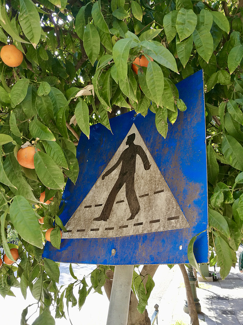 Athens 2020 – Sign and oranges