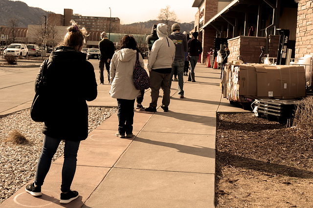 trader Joes line