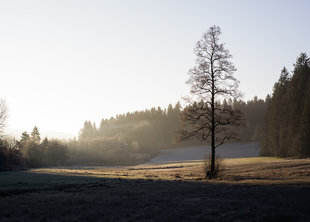 bei der Sägemühle