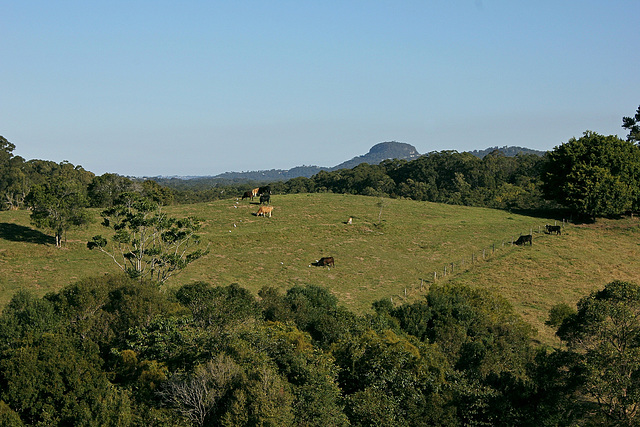 226/365 View to Mt Ninderry