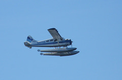 de Havilland Canada DHC-2 Beaver N37756