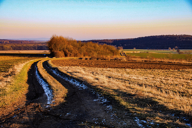 Wetterau