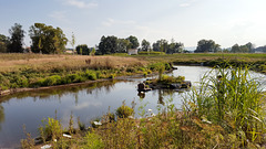 Landesgartenschau 2016