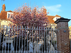 le printemps balaye l'hiver