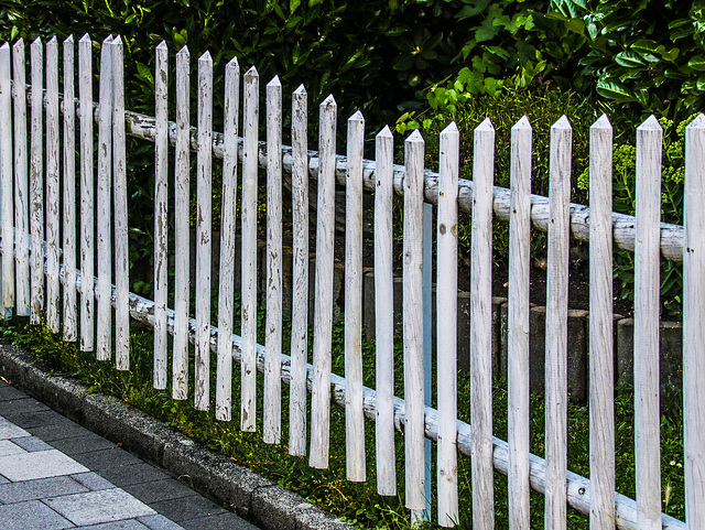 A Fence for Friday