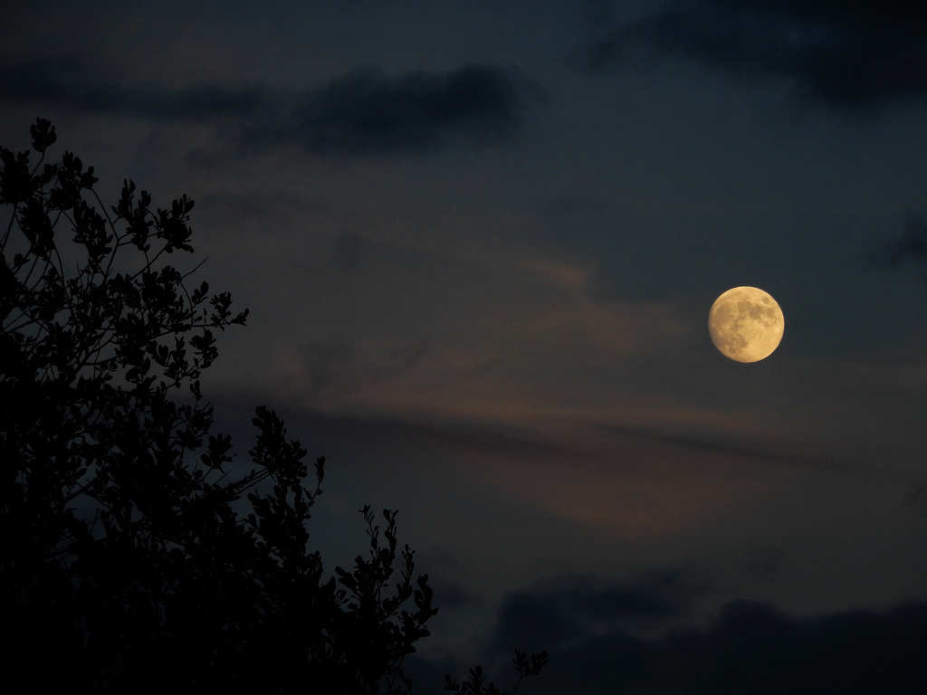 la poésie d'hier soir,