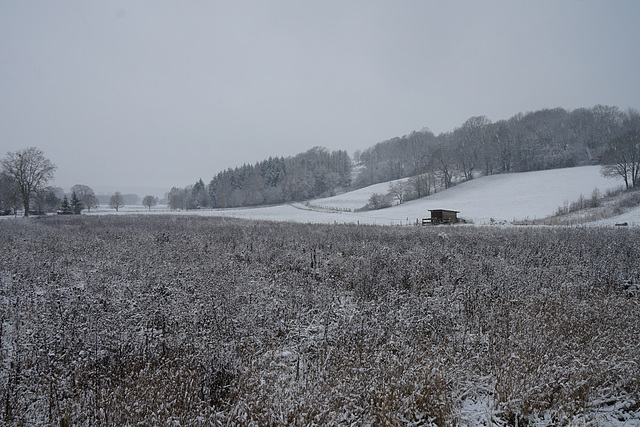 Der Hagenberg im Schneetreiben