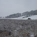 Der Hagenberg im Schneetreiben