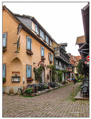 Eguisheim Herbst 24