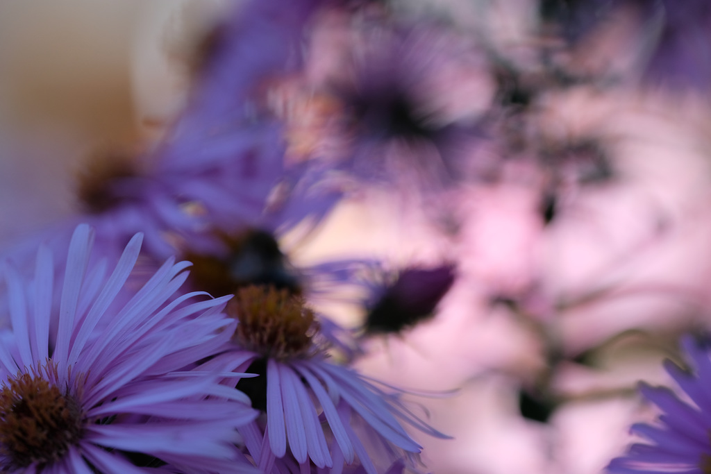 DSCF0384