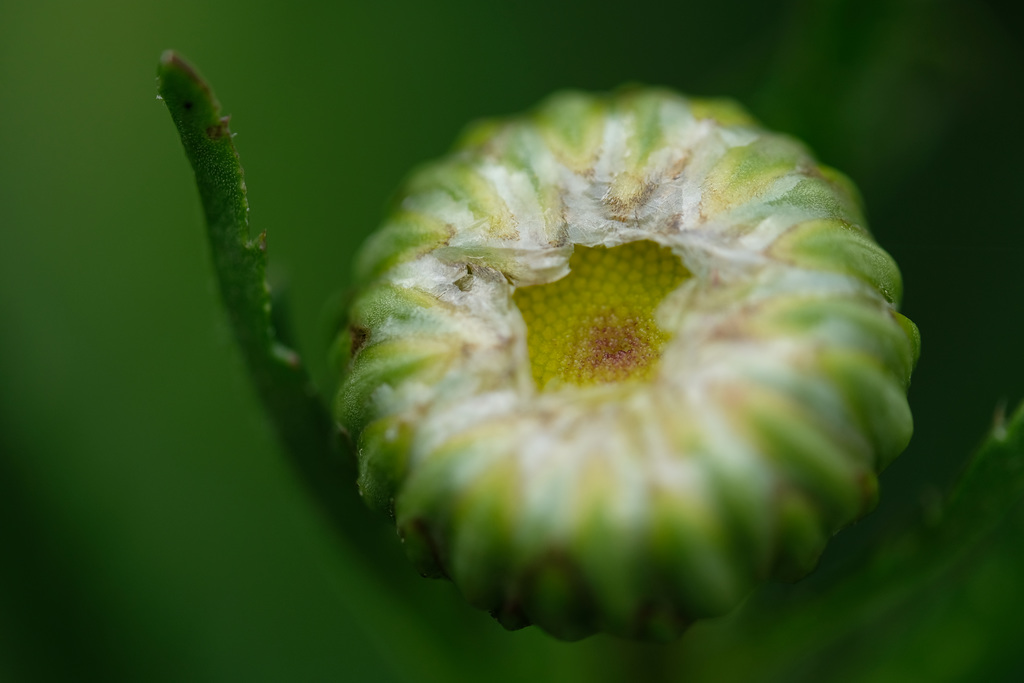 DSCF9032