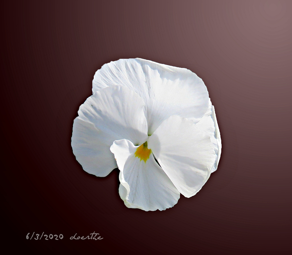 Unedited white