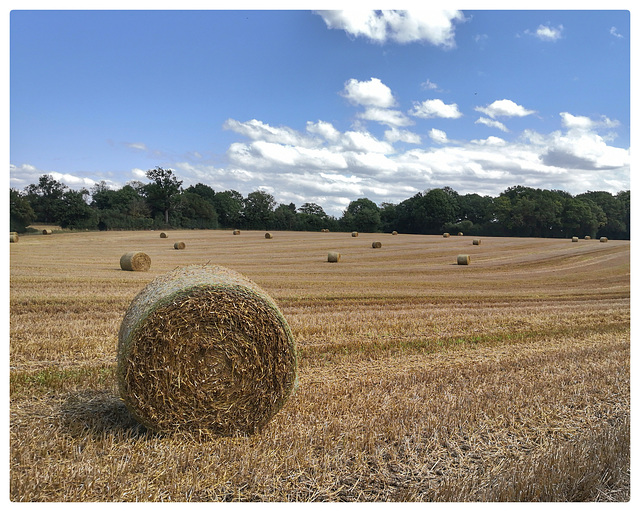 Straw bales