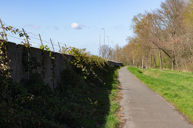 2021-04-23 Der Weg im Licht