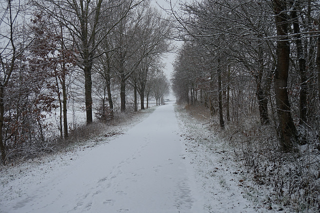 Winterlicher Feldweg
