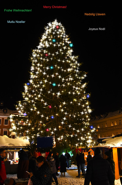 Merry Christmas!!  Frohe Weihnachten!!    Joyeux Noël !!   Nadolig Llawen!!   Mutlu Noeller!!