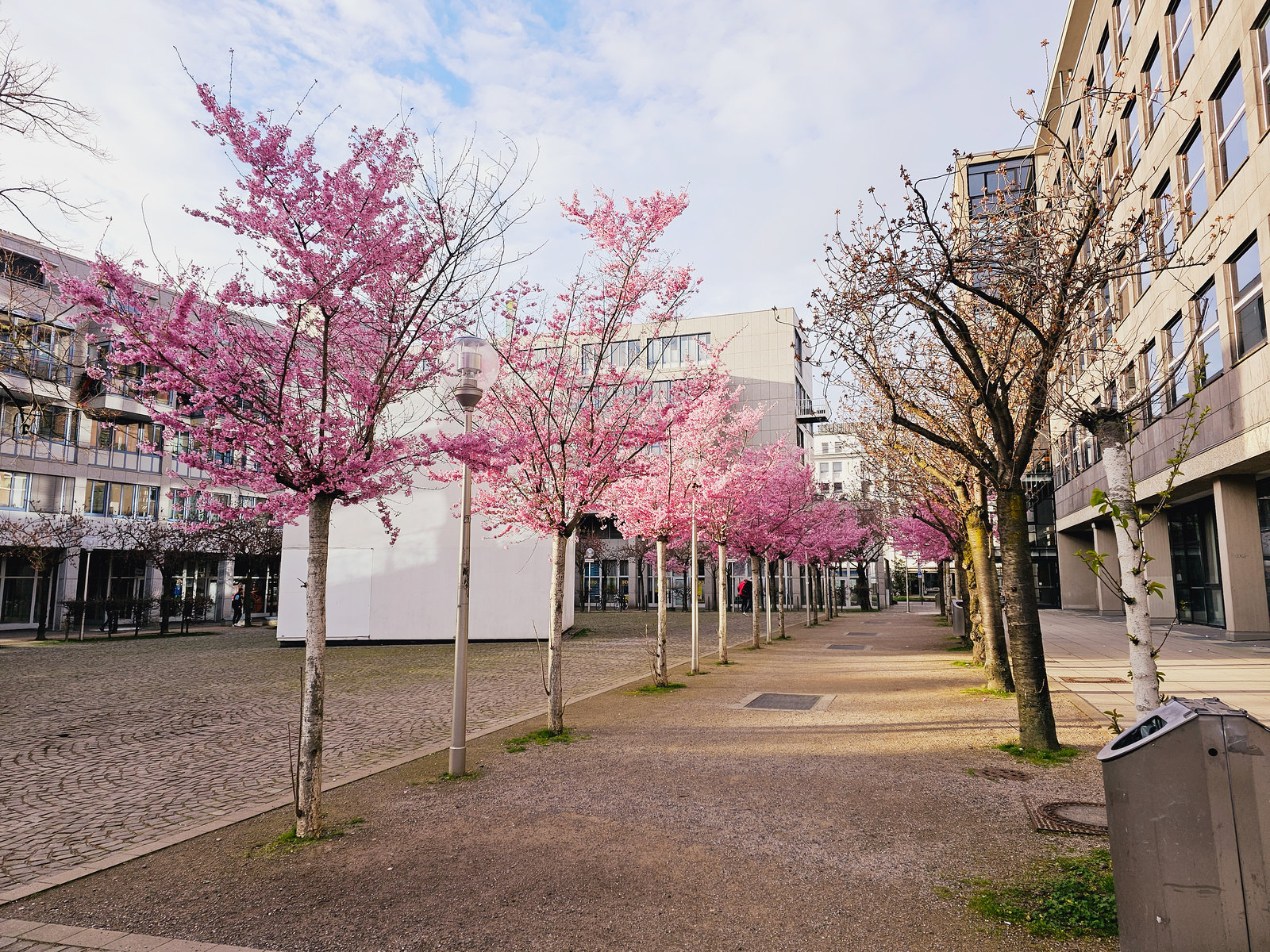 Köln - Josef-Haubrich-Hof