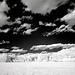 A midwestern farm on an infrared-y day