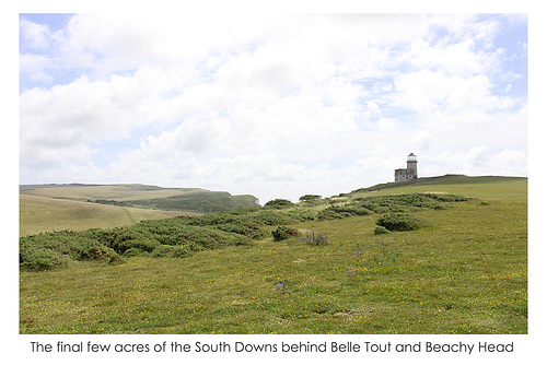 The South Downs behind Belle Tout & Beachy Head - 12.7.2016