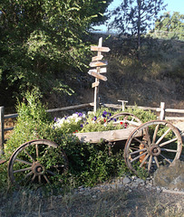 Charette fleurie / Botanic cart